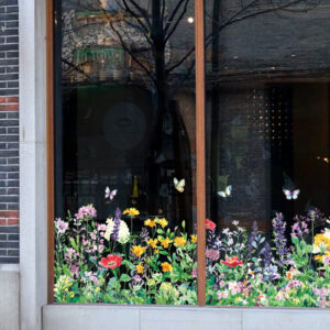 decal-chan-tuong-hoa-dai-nhieu-mau