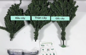 huong-dan-lap-cay-thong-noel